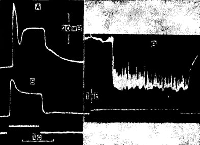 Рис. 4. Ответы рецепторных клеток. А, Б - рецепторный потенциал зрительной клетки мухи Luci-liа, зарегистрированный внутри-клеточно; запись на А сделана при освещении в тысячу раз выше, чем запись Б (по Naka, 1961). В - рецепторный потенциал с наложенными на нем импульсами, зарегистрированный вне-клеточно от вкусовой сенсиллы мухи Phormia regina; стимуляция 0,5 М раствором глюкозой (по Uehara, Morita, 1972)