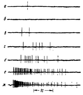 Рис. 37. Импульсная активность специфичной к бомбиколу рецепторной клетки в антеннальной сенсилле самца тутового шелкопряда при раздражении различными концентрациями запаха бомбикола (по Schneider, 1974): а,б,в - 10-4; г - 10-3; д - 10-2; е - 10-1 мкг; ж - 1 мкг