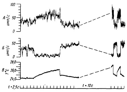 Рис. 39. Интегрированные импульсные ответы целоконической сенсиллы антенны комара Aedes aegypti, указывающие на реакцию двух клеток с разной амплитудой потенциала при повышении или понижении температуры струи воздуха (по Davis, Socolove, 1974). А, Б - тепловой и холодовый рецепторы соответственно; по оси абсцисс - время, с; по оси ординат - частота импульсов, имп/с. В - температура воздуха