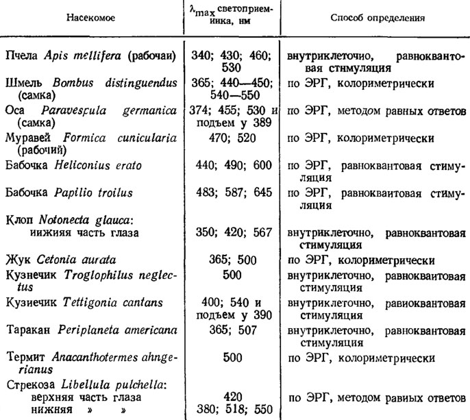 Таблица 11 Примеры светоприемников у взрослых насекомых