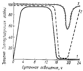 Рис.20. Типы фотопериодической реакции насекомых (по Гейспиц, 1953): 1 - капустница - длиннодневный тип, 2 - желтогузка -  промежуточный тип, 3 - ивовая волнянка - промежуточный тип