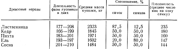 Таблица. Средние показатели развития сибирского шелкопряда на разных древесных породах (по Н. Г. Коломийцу и В. О. Болдаруеву)
