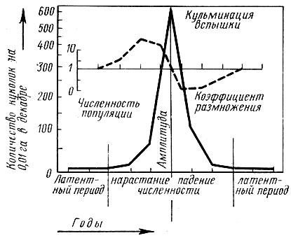 Рис. 67. Изменение численности сосновой совки в период массового размножения (по Швердтфегеру, 1957)